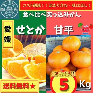 【希少☆食べ比べ突っ込みかん】愛媛県　小～中玉　甘平×せとか　5kg(フルーツ)