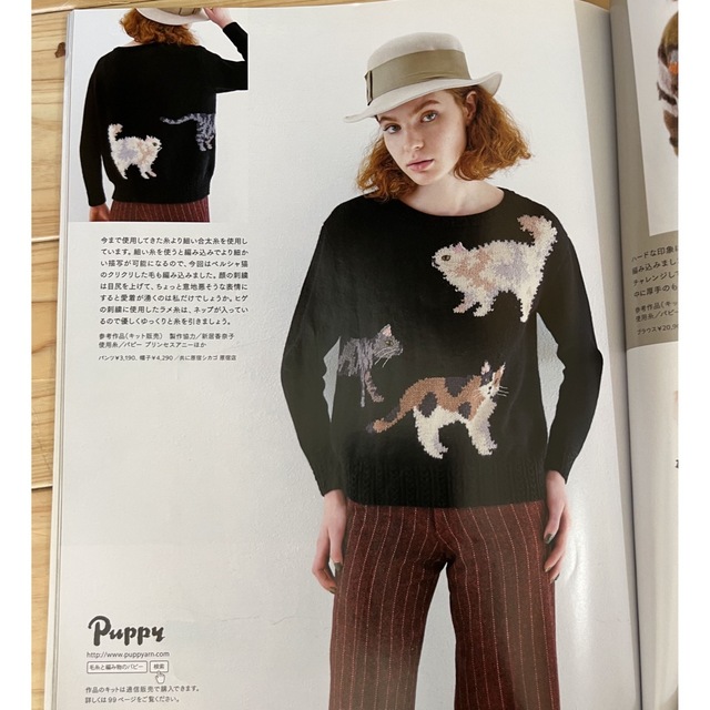 東海えりか　楽しむ編み込み　ネコのプルオーバー　プリンセスアニー　毛糸　キット