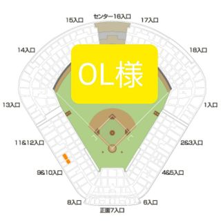 2023.3.19オープン戦　 ヤクルトVS阪神タイガース(野球)