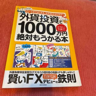 外貨投資で１０００万円絶対もうかる本 少ない予算で(その他)