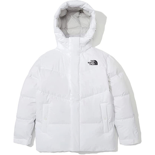 THE NORTH FACE - レアモデル☆新品タグ付き☆THE NORTH FACEダウン