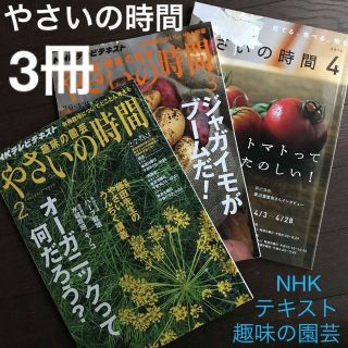 ★3冊/NHKテキスト「趣味の園芸 やさいの時間 2016年2,3,4月号」★(専門誌)