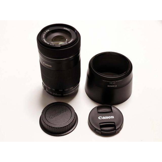 レンズプロテクタ付★美品 超望遠 STM★CANON EF-S 55-250mm