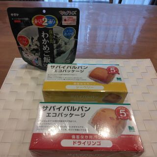 ミドリアンゼン(ミドリ安全)の備蓄保存用パン　サバイバルパン2箱（ドライリンゴ・シーベリー）おまけ付き(防災関連グッズ)