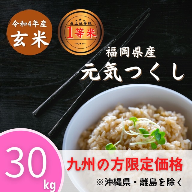 元気つくし産年玄米 元気つくし25kg 1等米 特A 厳選米 令和3年 福岡県産 お米