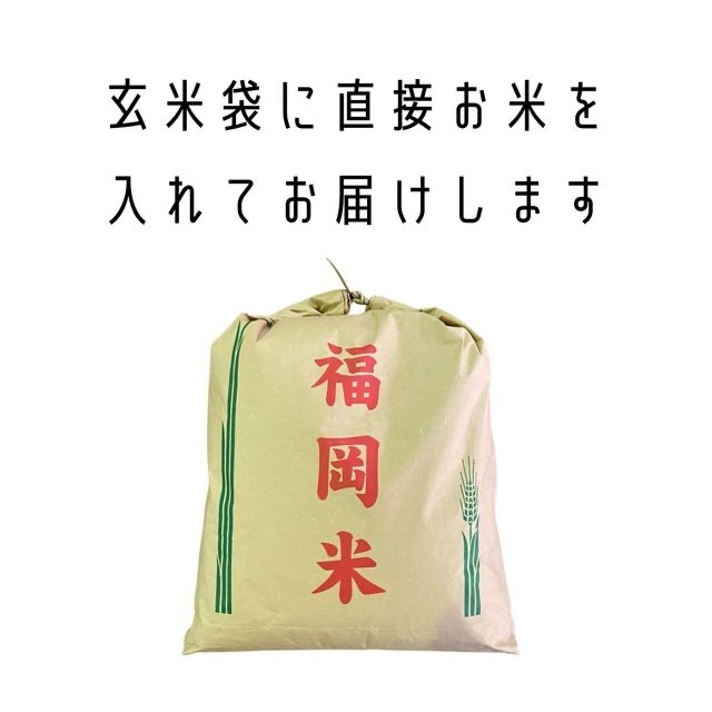 元気つくし産年玄米 元気つくし25kg 1等米 特A 厳選米 令和3年 福岡県産 お米