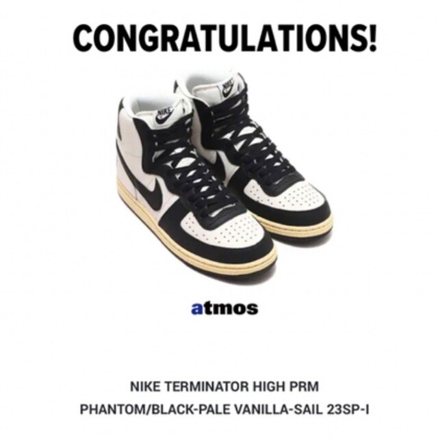 NIKE ターミネーター HIGH Black and Phantom