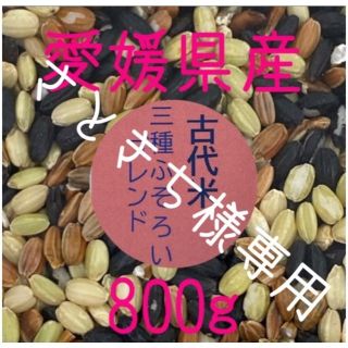 さときち様専用　古代米3種ふぞろいブレンド　愛媛県産　800ｇ(米/穀物)