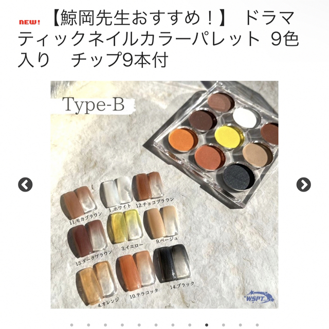 ドラマティックネイルカラーパレット TYPE-B 9色入り　チップ9本付 コスメ/美容のネイル(カラージェル)の商品写真