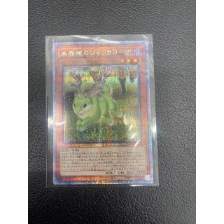 ユウギオウ(遊戯王)の【美品】遊戯王　未界域のジャッカロープ　25th sc(シングルカード)