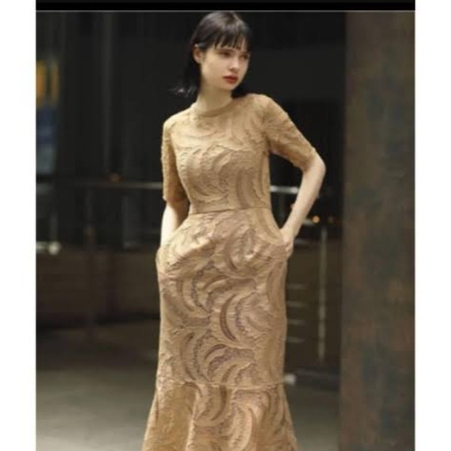 新品未使用 LADYリーフエンブロイダリーレースドレス 新品未使用 LADYリーフエンブロイダリーレースドレス
