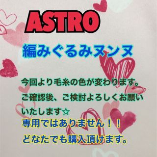 アストロ(ASTRO)のASTRO韓国　編みぐるみヌンヌ（チャウヌ）(あみぐるみ)