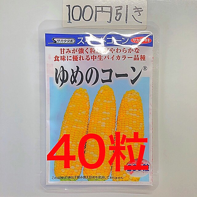 トウモロコシ スイートコーン　ゆめのコーンの種 バイカラー 40粒 食品/飲料/酒の食品(野菜)の商品写真