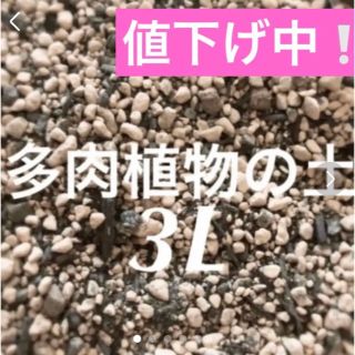 値下げ中❣️多肉植物　サボテンの土　約3リットル 即購入歓迎❣️(その他)