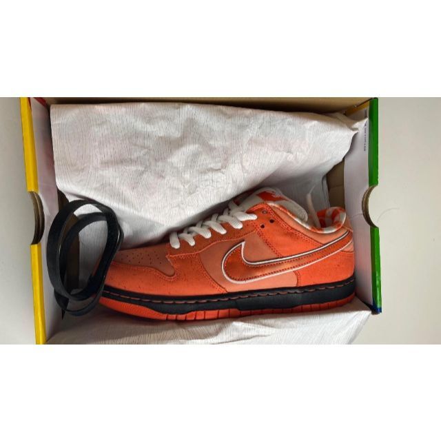 保存版】 Nike CONCEPTS - NIKE SB Lobster Orange Low Dunk