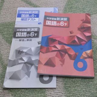 中学受験新演習 国語 小6下(語学/参考書)