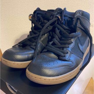 ナイキ(NIKE)のNIKE SB anti hero 28.5cm(スニーカー)