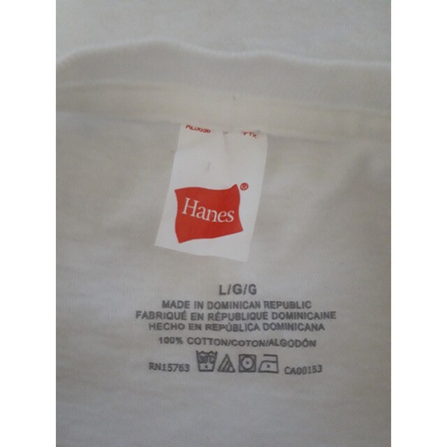 Hanes(ヘインズ)のHanes HAWAII Tシャツ2点セット M L まとめ売り メンズのトップス(Tシャツ/カットソー(半袖/袖なし))の商品写真