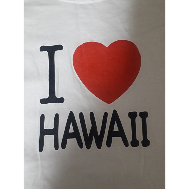 Hanes(ヘインズ)のHanes HAWAII Tシャツ2点セット M L まとめ売り メンズのトップス(Tシャツ/カットソー(半袖/袖なし))の商品写真