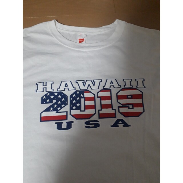 Hanes(ヘインズ)のHanes HAWAII Tシャツ2点セット M L まとめ売り メンズのトップス(Tシャツ/カットソー(半袖/袖なし))の商品写真