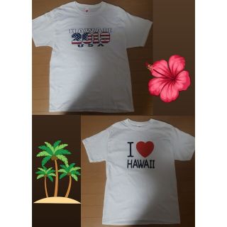 ヘインズ(Hanes)のHanes HAWAII Tシャツ2点セット M L まとめ売り(Tシャツ/カットソー(半袖/袖なし))