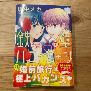 鉄壁ハニームーン ７(少女漫画)