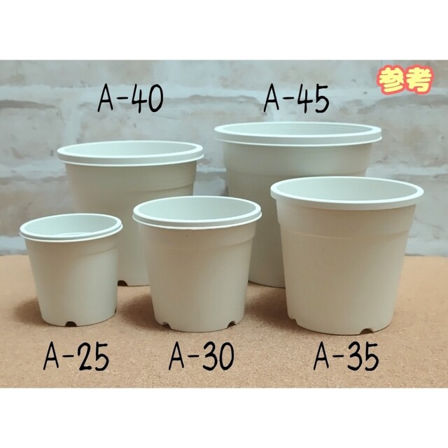 プラ鉢20個おまとめセット♪【A-25・A-30 各10個】プレステラ多肉