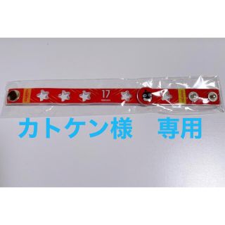 カトケン様　専用ページです(その他)