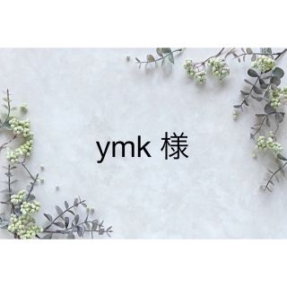 ymk様 専用【高品質ラブラドライト蝶々2連ブレスレットεïзꔛ♡】天然石 (ブレスレット/バングル)