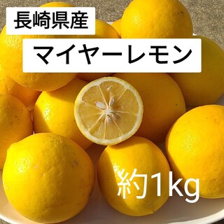 国産マイヤーレモン　約1kg(フルーツ)