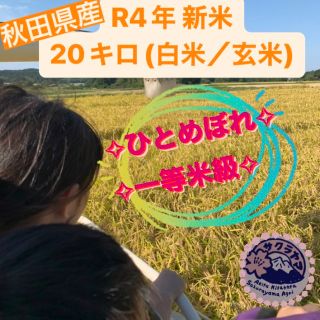 ★令和4年 ‪新米  ひとめぼれ 20kg  一等米級 秋田県産 産地直送★ (米/穀物)