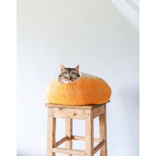 FELTED CAT HOUSE パンプキン　キャットハウス(猫)