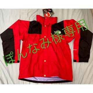 ザノースフェイス(THE NORTH FACE)のTNFレッド完売品・Mountain Raintex Jacket Lサイズ(マウンテンパーカー)