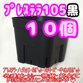 【スリット鉢】プレステラ105黒10個 多肉植物 プラ鉢(プランター)