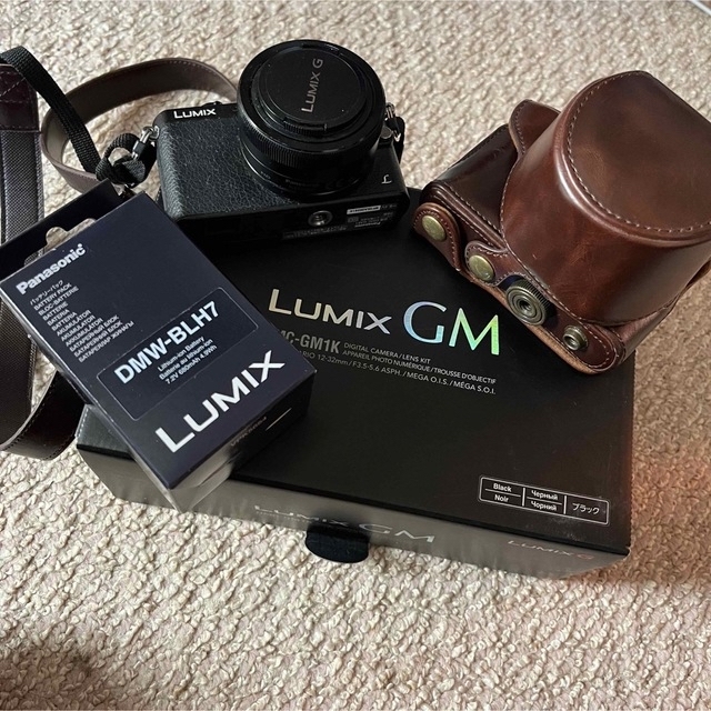 Panasonic - Panasonic LUMIX ミラーレス一眼カメラ レンズキット DMC-GM