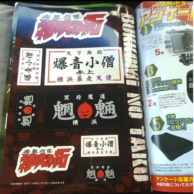 講談社 - 本郷柚巴 ステッカー付 月刊ヤングマガジン 3号の通販 by