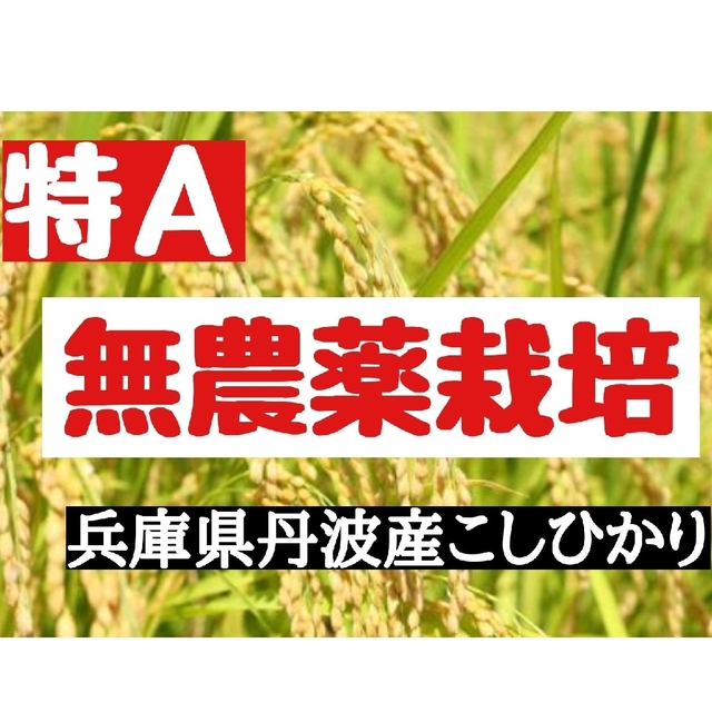 兵庫県丹波産こしひかり7分づき9kg(令和4年産)