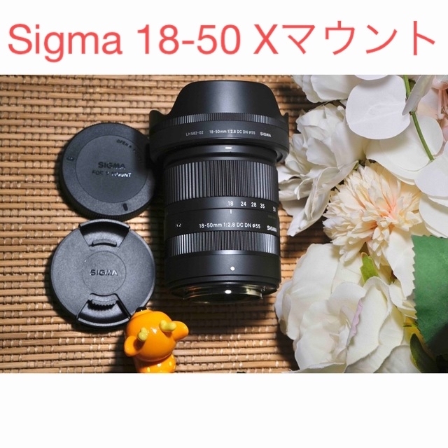 SIGMA 18-50F2.8 EX DC NIKON Fマウント