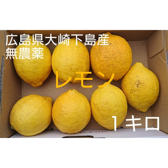 酸っぱいだけじゃない！甘味も感じる広島県大崎下島産 特別栽培レモン1キロ 食品/飲料/酒の食品(フルーツ)の商品写真
