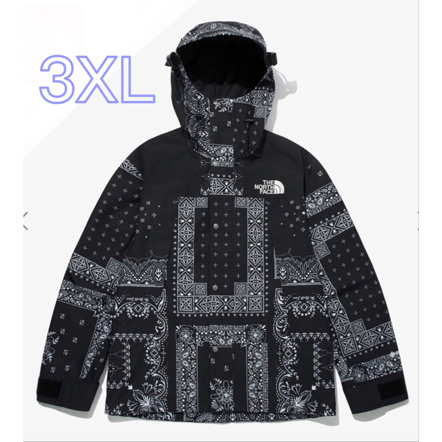 NOVELTY GTX MOUNTAIN JACKET 3XL ペイズリー