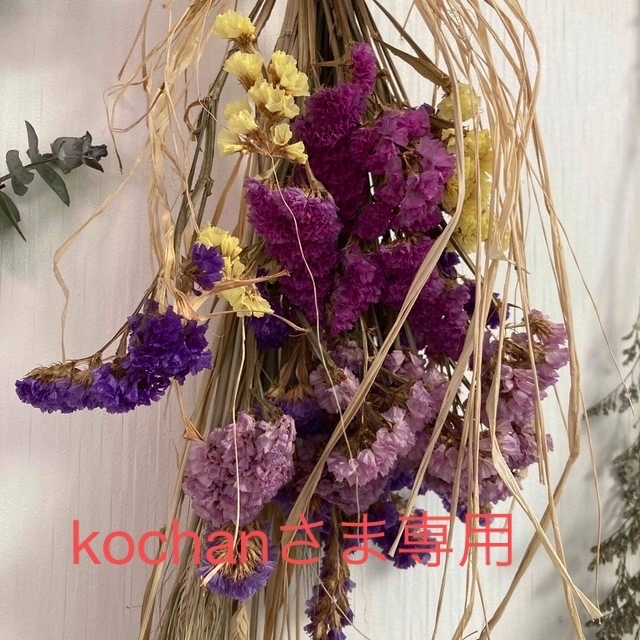 第一ネット 芍薬 しゃくやく ドライフラワー 120本 general-bond.co.jp