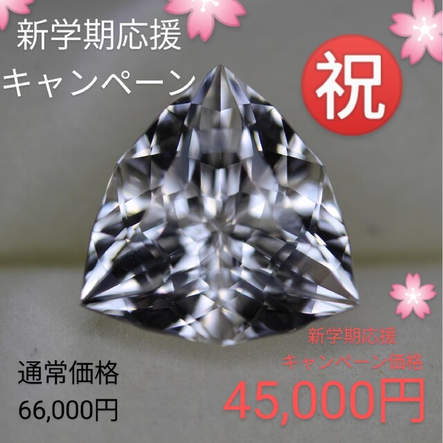 🌸ご専用でございます🌸 レディースのアクセサリー(その他)の商品写真