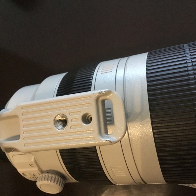Canon(キヤノン)のCanon EF 100−400mm f/4.5-5.6L IS Ⅱ USM スマホ/家電/カメラのカメラ(レンズ(ズーム))の商品写真