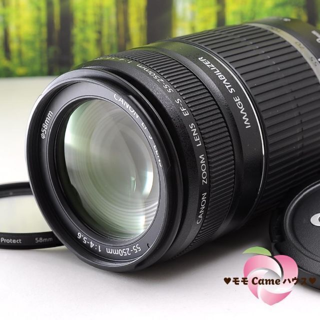 美品☆Canon EF-S 55-250mm IS☆お手軽望遠レンズ♪ - レンズ(ズーム)