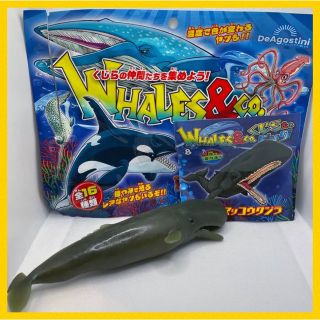 新品未使用 マッコウクジラ くじら＆Coビッグ 色が変わる