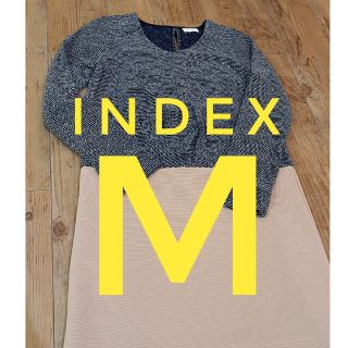 インデックス(INDEX)のINDEX ワンピース Ｍ(ひざ丈ワンピース)