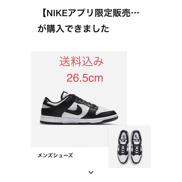 NIKE DUNK LOW RETRO  パンダ