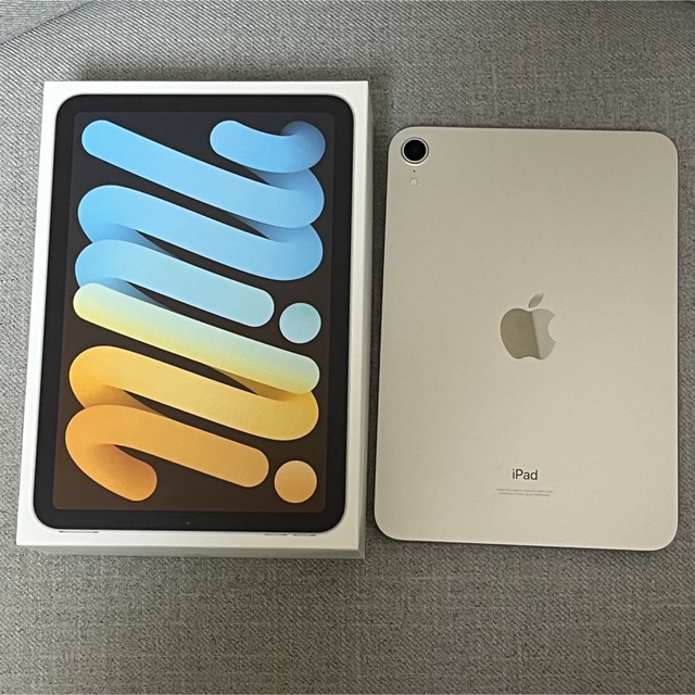 限定価格セール！ mini（第6世代）Wi-Fiモデル iPad - Apple 256GB