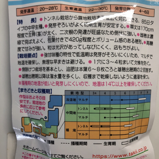 トウモロコシ スイートコーン　ほしつぶコーンの種 40粒 食品/飲料/酒の食品(野菜)の商品写真