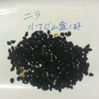 【ニラ　種たね　小さじ山盛り１杯分】自然農法　自然栽培　在来種　自家採種(野菜)